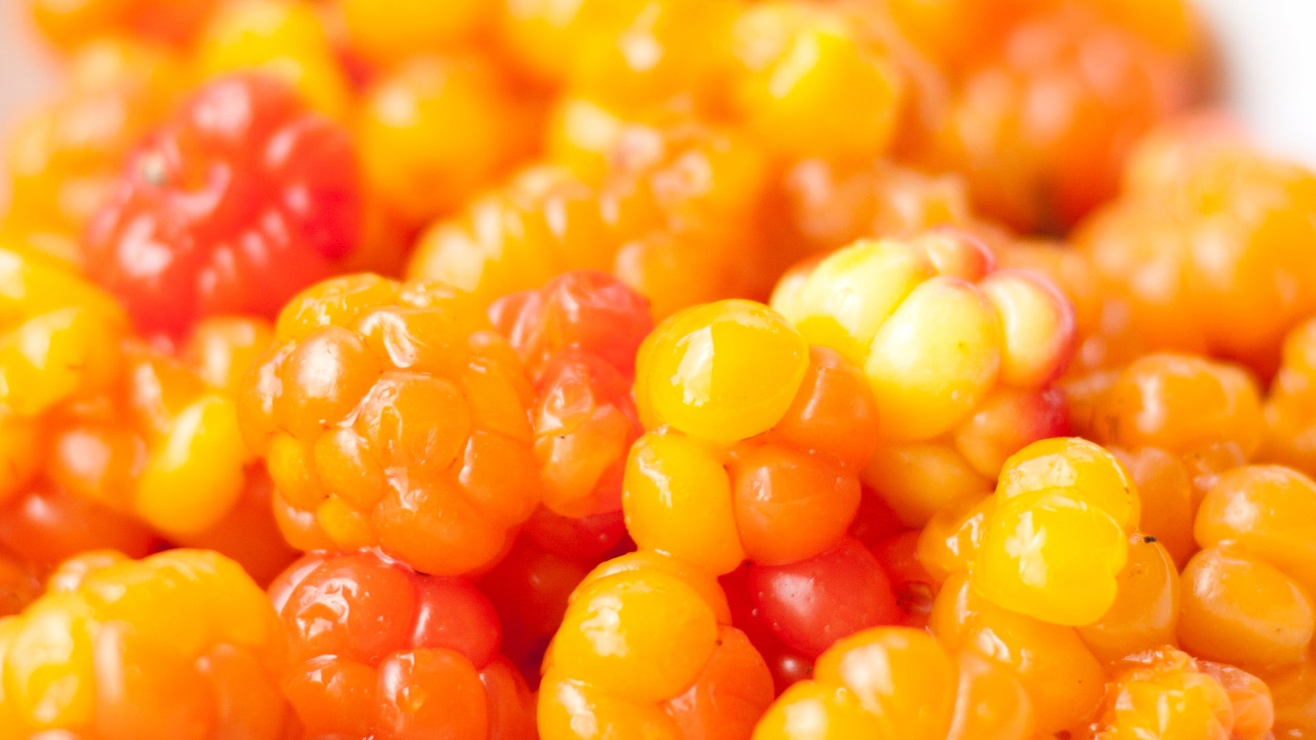 CLOUDBERRY EXTRACT