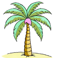 palmera-creciendo.png